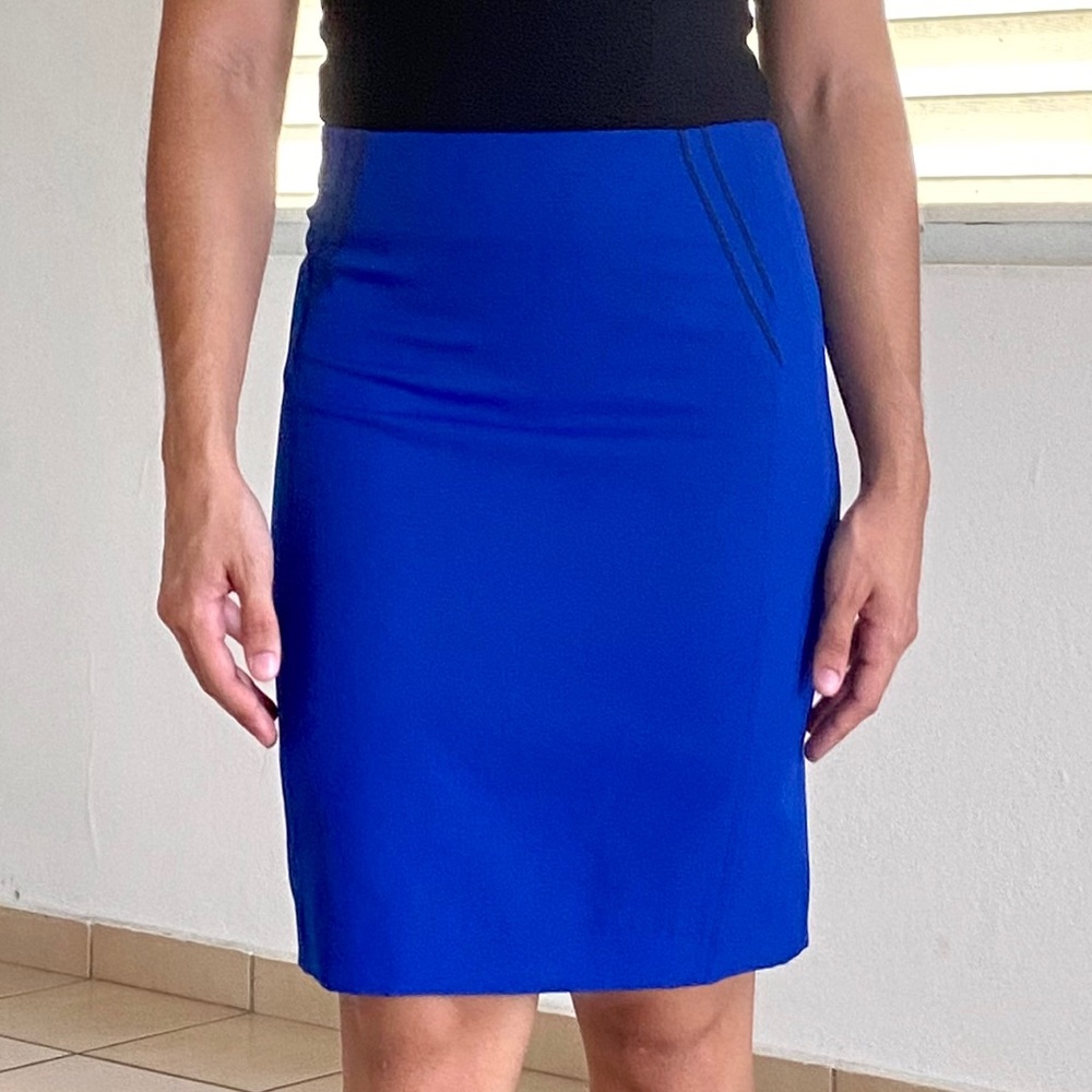 Blue Polyester Skirt